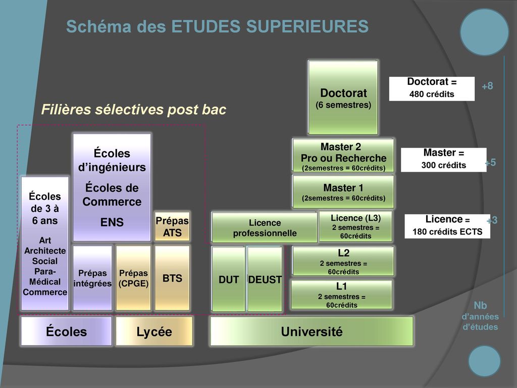 Schéma des ETUDES SUPERIEURES Filières sélectives post bac