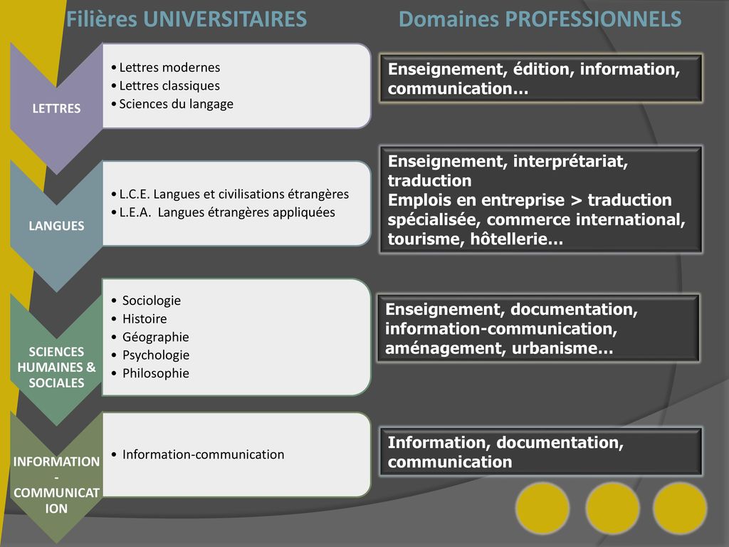 Filières UNIVERSITAIRES Domaines PROFESSIONNELS