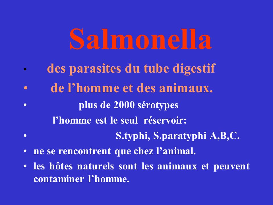 Salmonella de l’homme et des animaux. des parasites du tube digestif