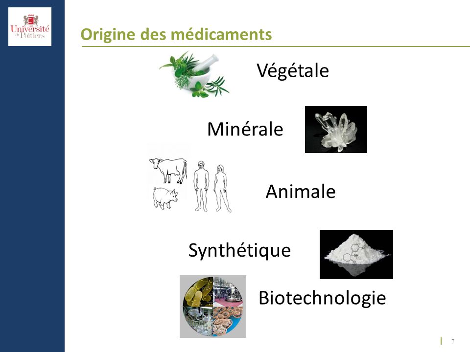 Végétale Minérale Animale Synthétique Biotechnologie