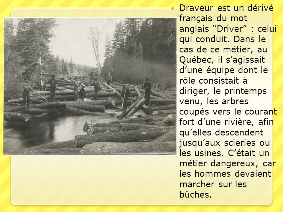 Draveur est un dérivé français du mot anglais Driver : celui qui conduit.