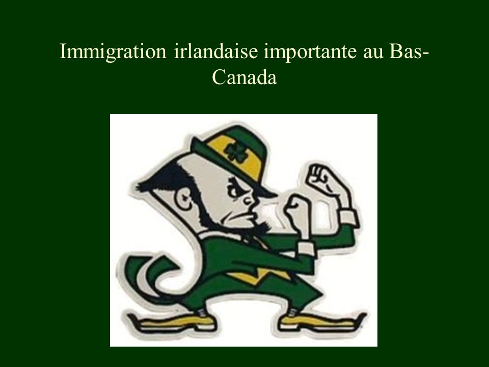 Immigration irlandaise importante au Bas-Canada