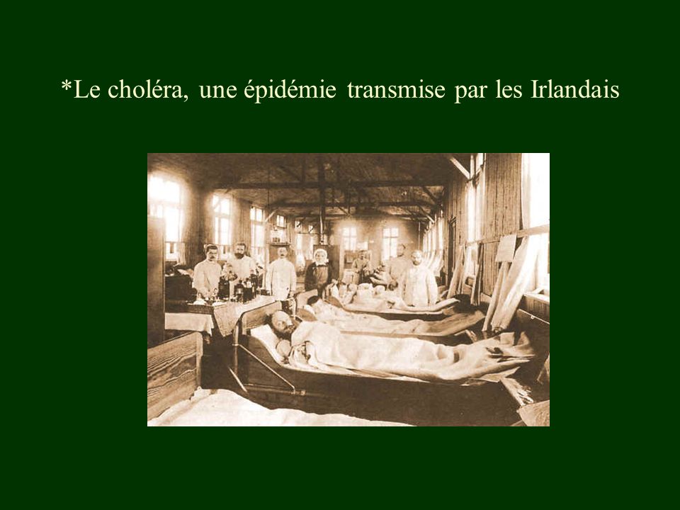 *Le choléra, une épidémie transmise par les Irlandais