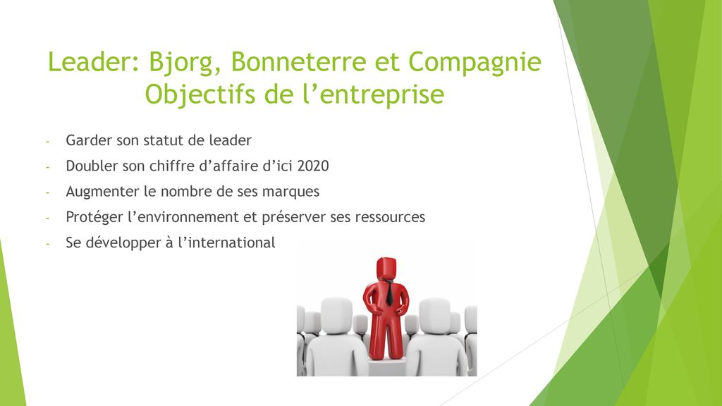 Leader: Bjorg, Bonneterre et Compagnie Objectifs de l’entreprise