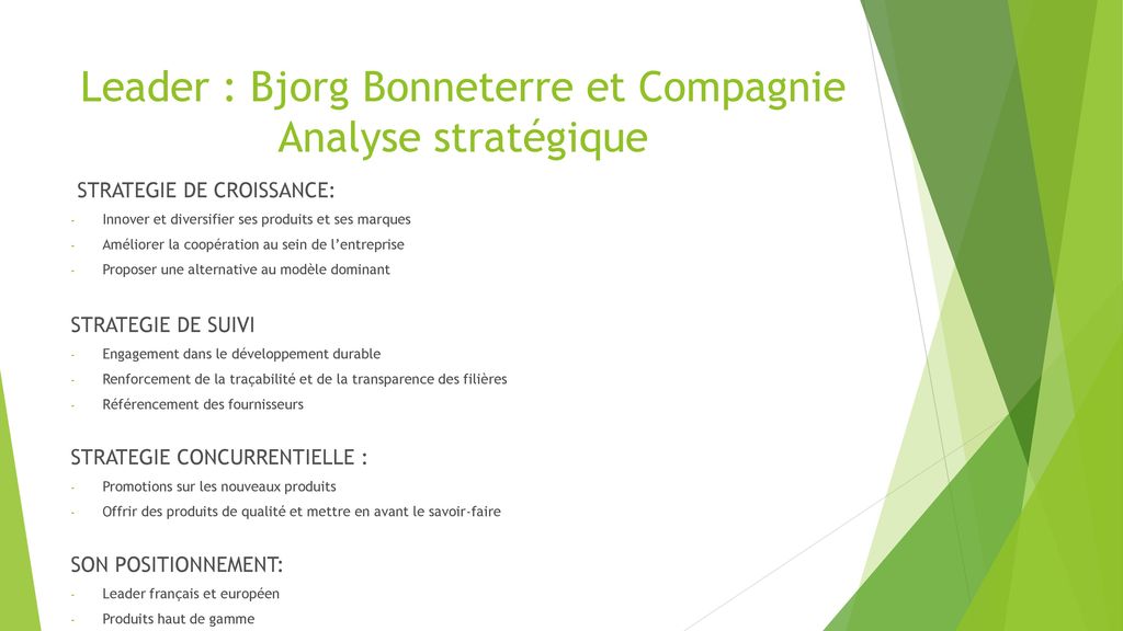 Leader : Bjorg Bonneterre et Compagnie Analyse stratégique