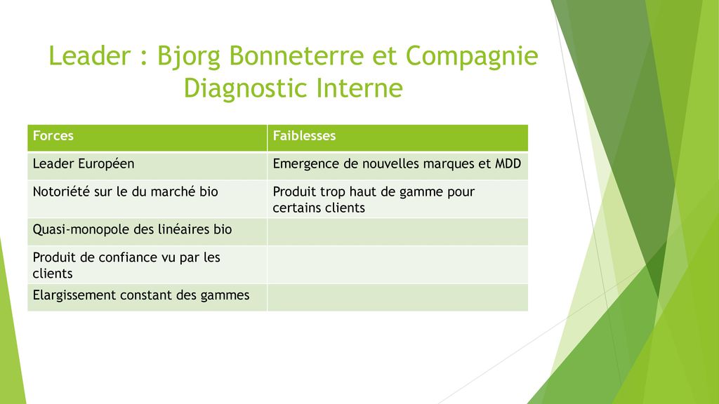 Leader : Bjorg Bonneterre et Compagnie Diagnostic Interne