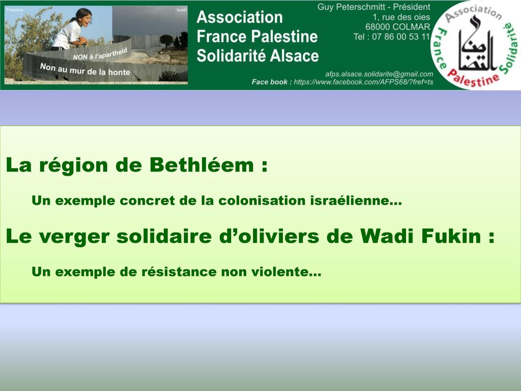 Le verger solidaire d’oliviers de Wadi Fukin :