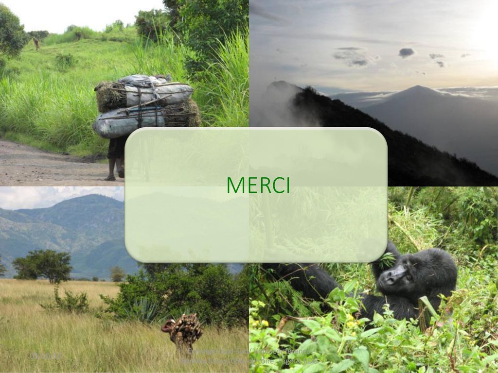 MERCI MERCI! 03/10/13 Echanges Sud-Sud/ Vidéoconférence Burkina Fasso, Côte-d Ivoire, Togo & RDC