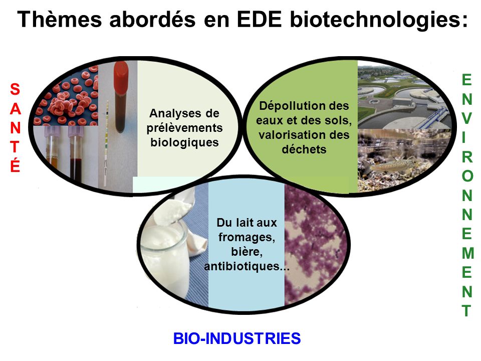 Thèmes abordés en EDE biotechnologies: