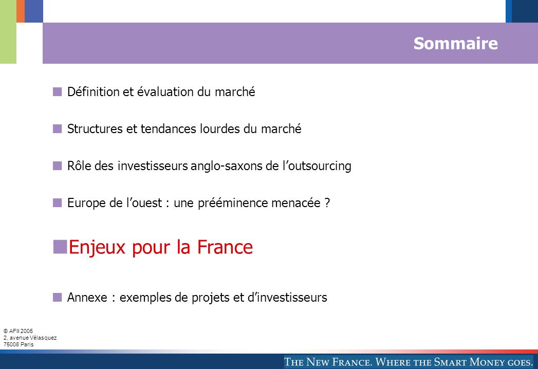 Enjeux pour la France Sommaire Définition et évaluation du marché