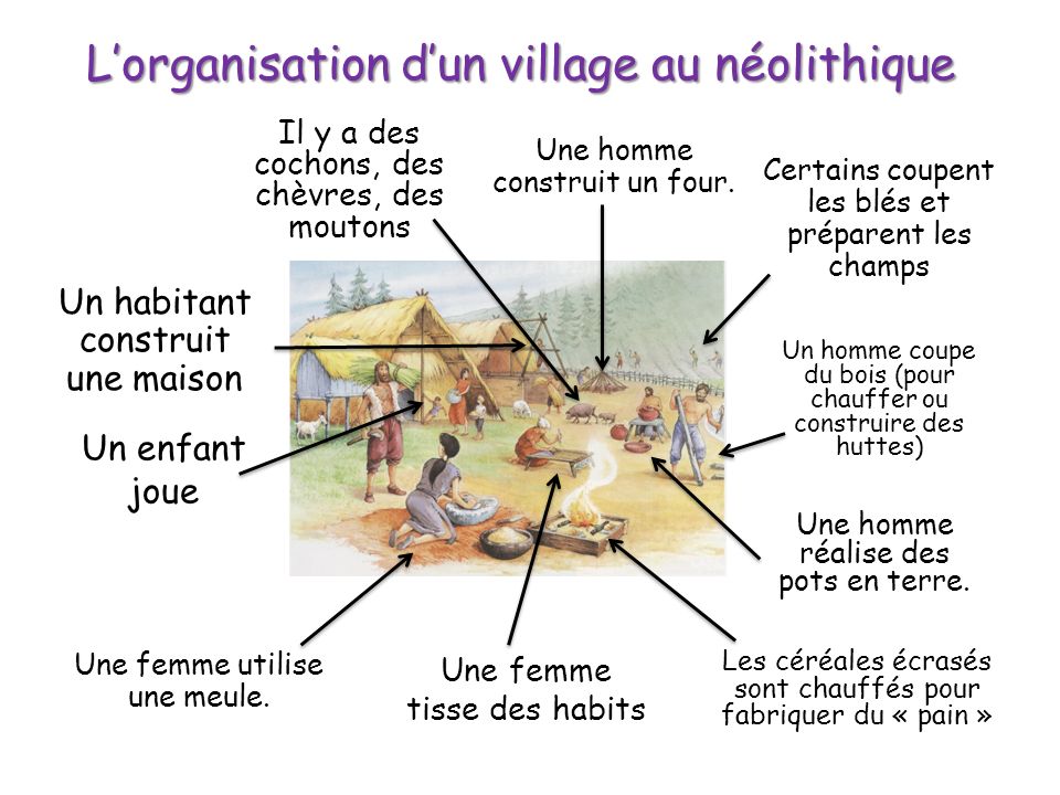 L’organisation d’un village au néolithique