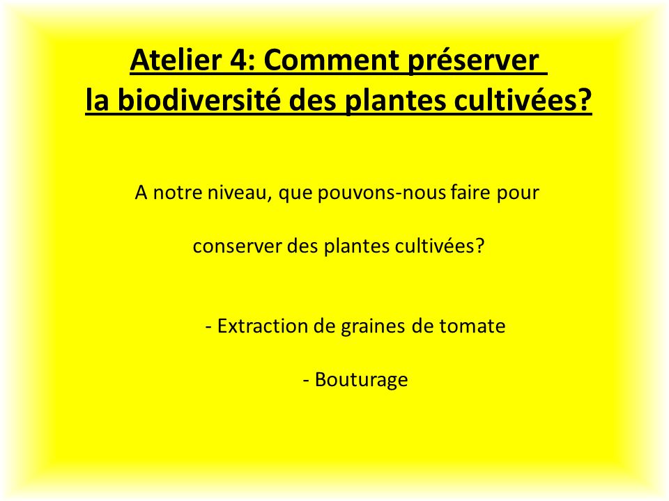Atelier 4: Comment préserver la biodiversité des plantes cultivées