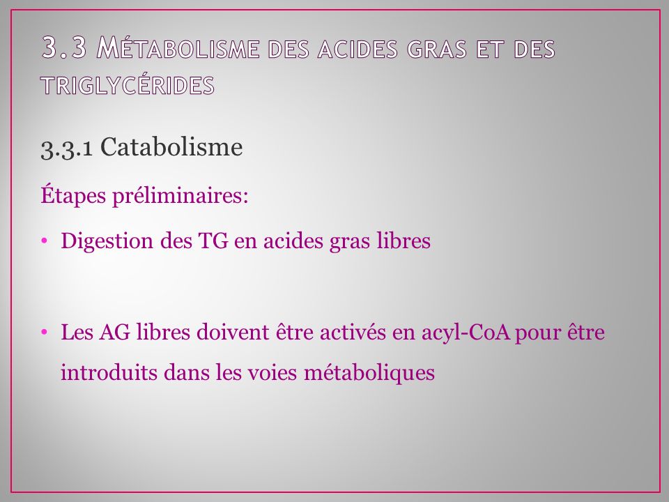 3.3 Métabolisme des acides gras et des triglycérides