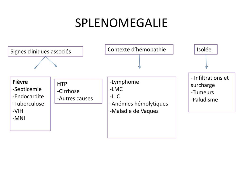 SPLENOMEGALIE Contexte d’hémopathie Isolée Signes cliniques associés