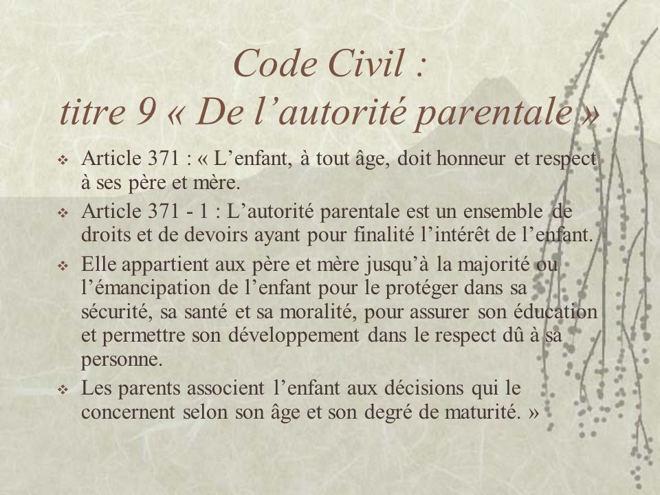 Code Civil : titre 9 « De l’autorité parentale »