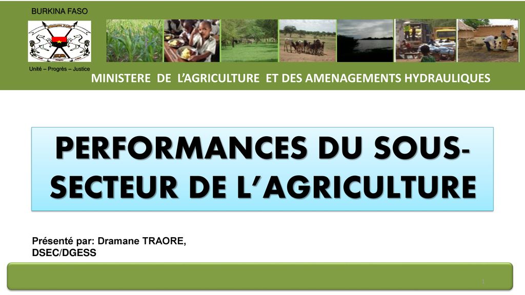 PERFORMANCES DU SOUS-SECTEUR DE L’AGRICULTURE