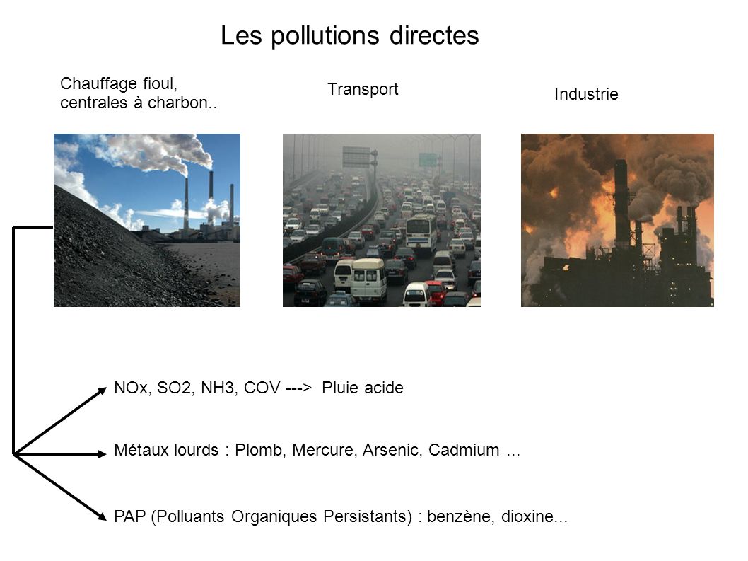 Les pollutions directes
