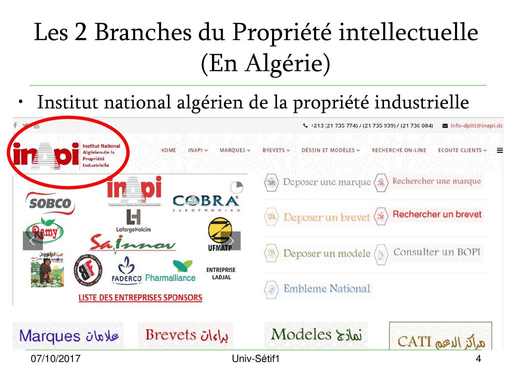 Les 2 Branches du Propriété intellectuelle (En Algérie)