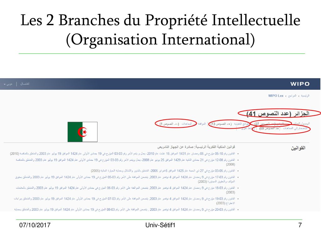 Les 2 Branches du Propriété Intellectuelle (Organisation International)