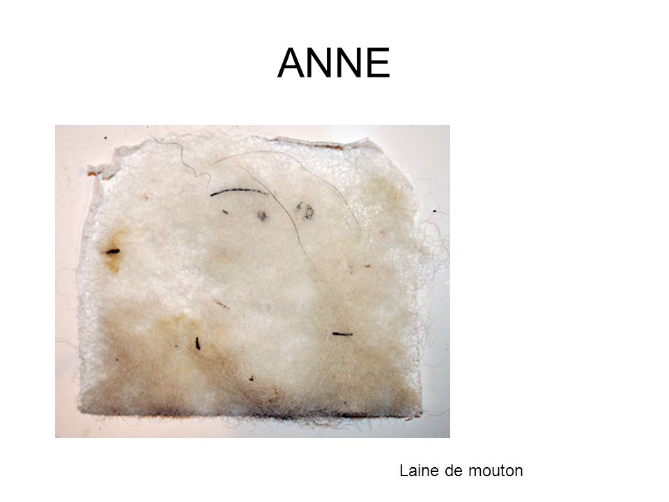 ANNE Laine de mouton