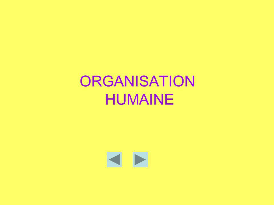 ORGANISATION HUMAINE