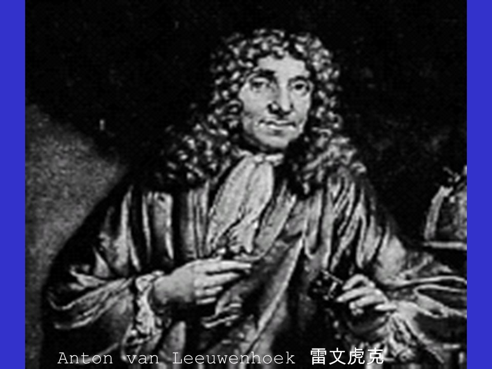 Anton van Leeuwenhoek 雷文虎克