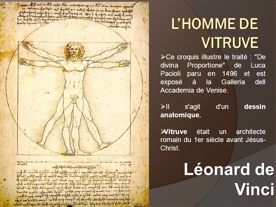 Léonard de Vinci L’homme de Vitruve