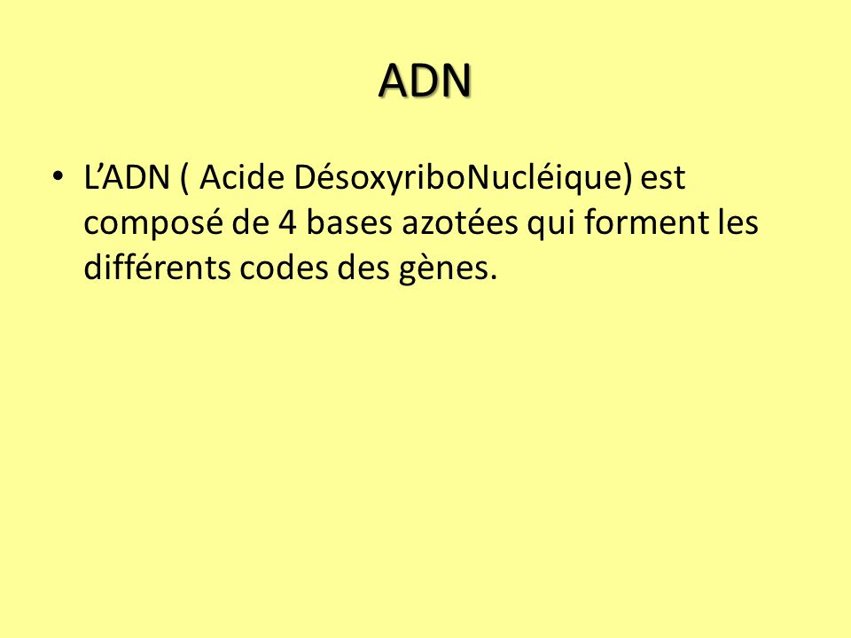 ADN L’ADN ( Acide DésoxyriboNucléique) est composé de 4 bases azotées qui forment les différents codes des gènes.