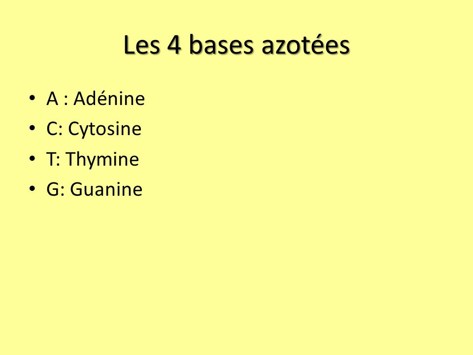 Les 4 bases azotées A : Adénine C: Cytosine T: Thymine G: Guanine