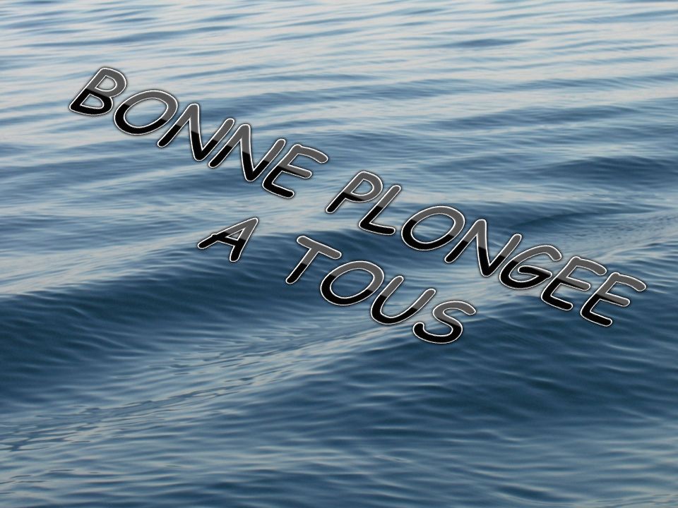 BONNE PLONGEE A TOUS