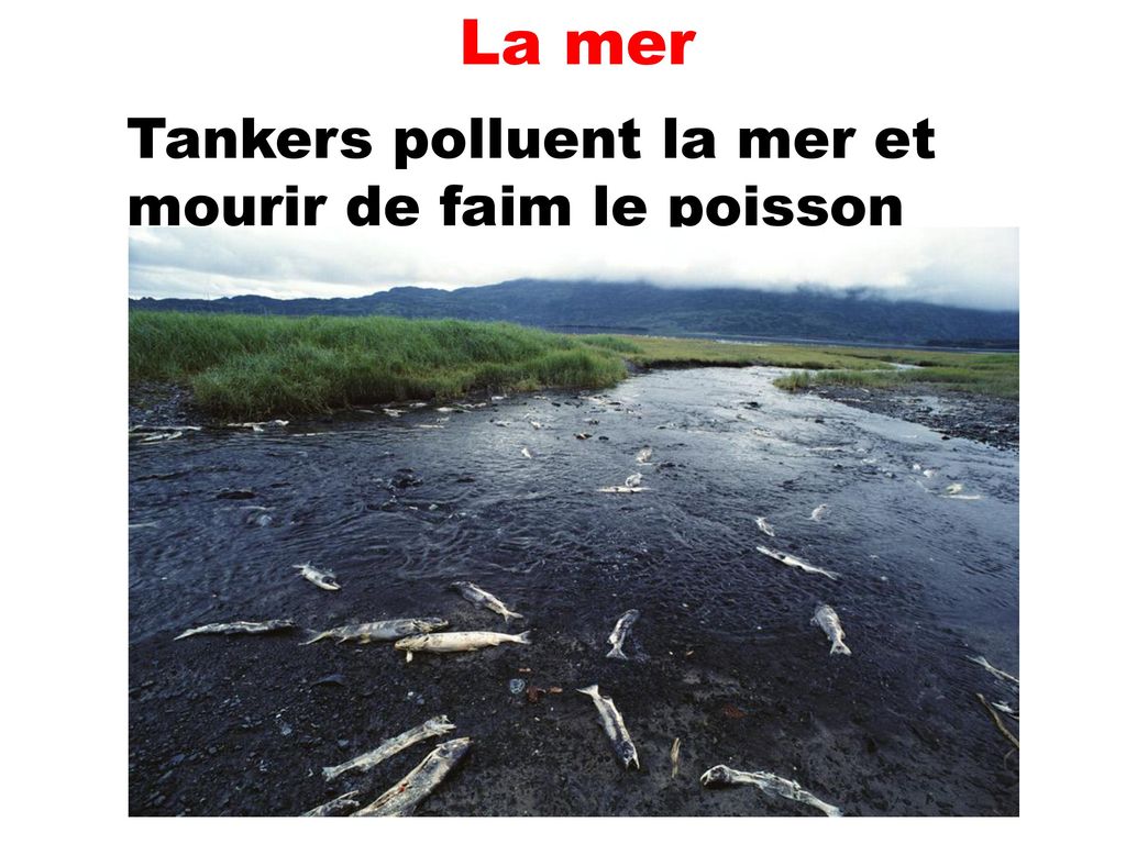 La mer Tankers polluent la mer et mourir de faim le poisson