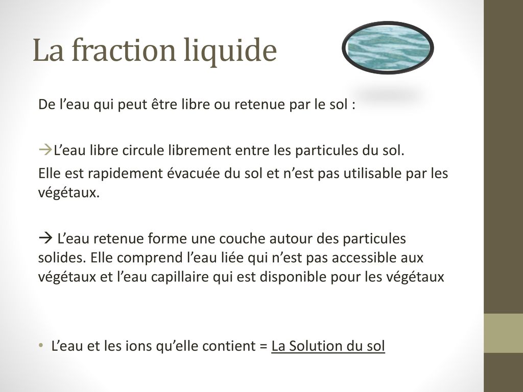 La fraction liquide De l’eau qui peut être libre ou retenue par le sol : L’eau libre circule librement entre les particules du sol.