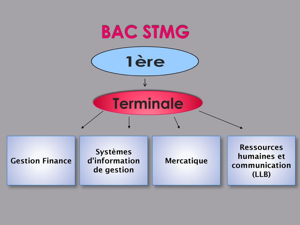 Systèmes d’information de gestion Mercatique