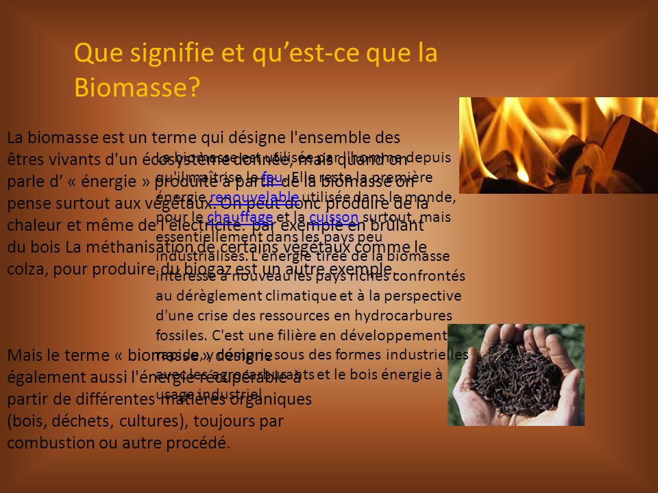 Que signifie et qu’est-ce que la Biomasse