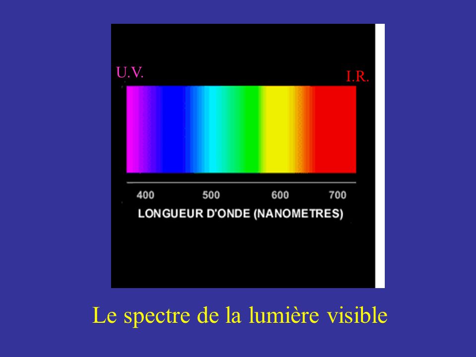 Le spectre de la lumière visible