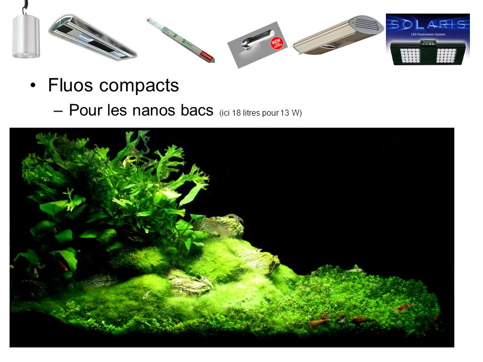 Fluos compacts Pour les nanos bacs (ici 18 litres pour 13 W)