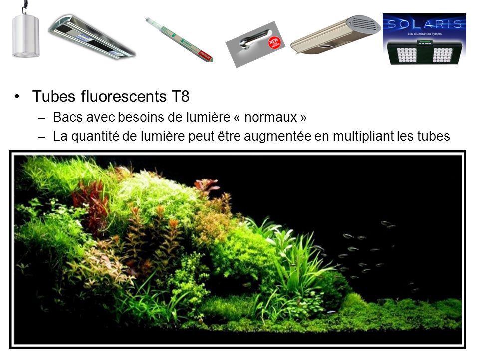 Tubes fluorescents T8 Bacs avec besoins de lumière « normaux »