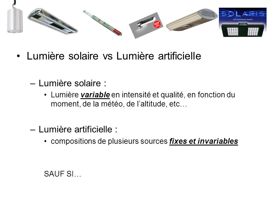 Lumière solaire vs Lumière artificielle