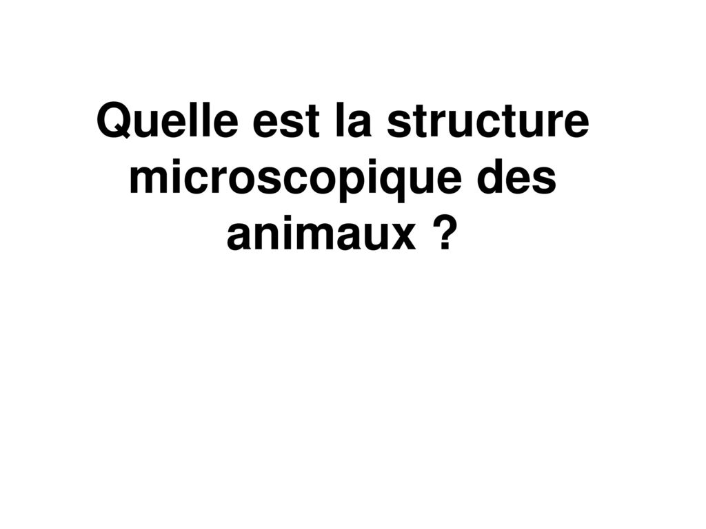 Quelle est la structure microscopique des animaux