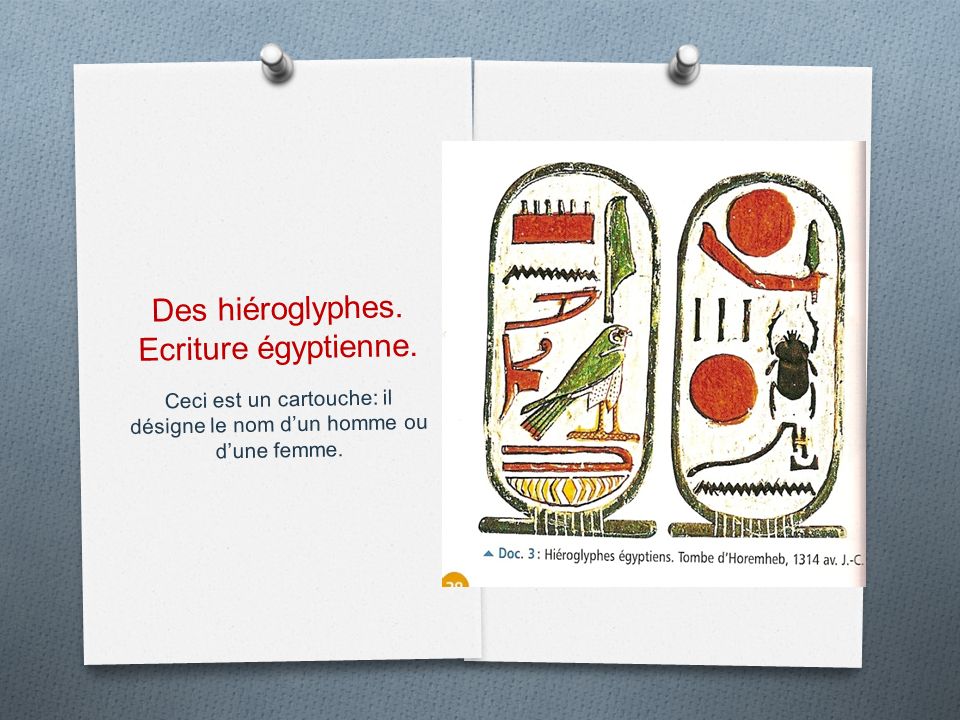 Des hiéroglyphes. Ecriture égyptienne.