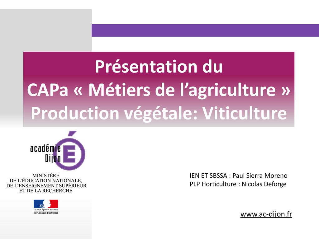 Présentation du CAPa « Métiers de l’agriculture » Production végétale: Viticulture