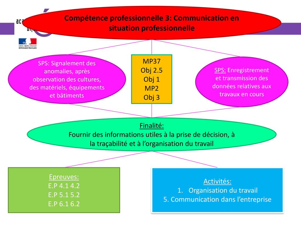 Compétence professionnelle 3: Communication en situation professionnelle