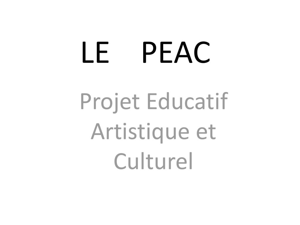 Projet Educatif Artistique et Culturel