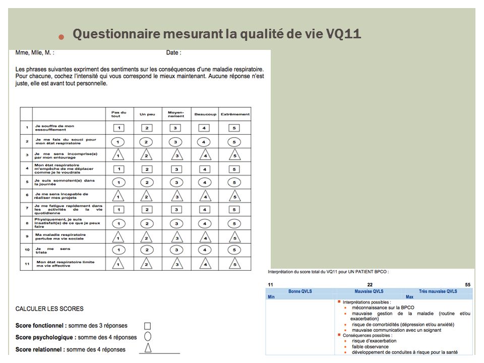 Questionnaire mesurant la qualité de vie VQ11