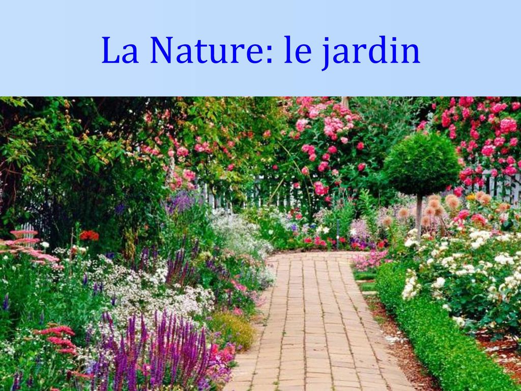 La Nature: le jardin