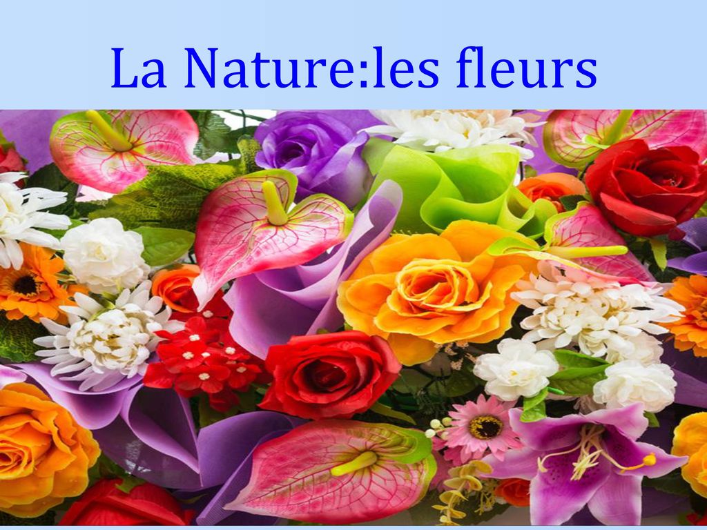 La Nature:les fleurs