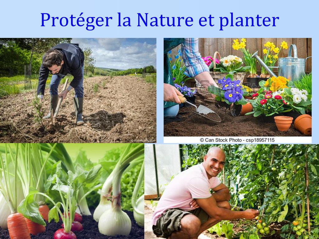 Protéger la Nature et planter