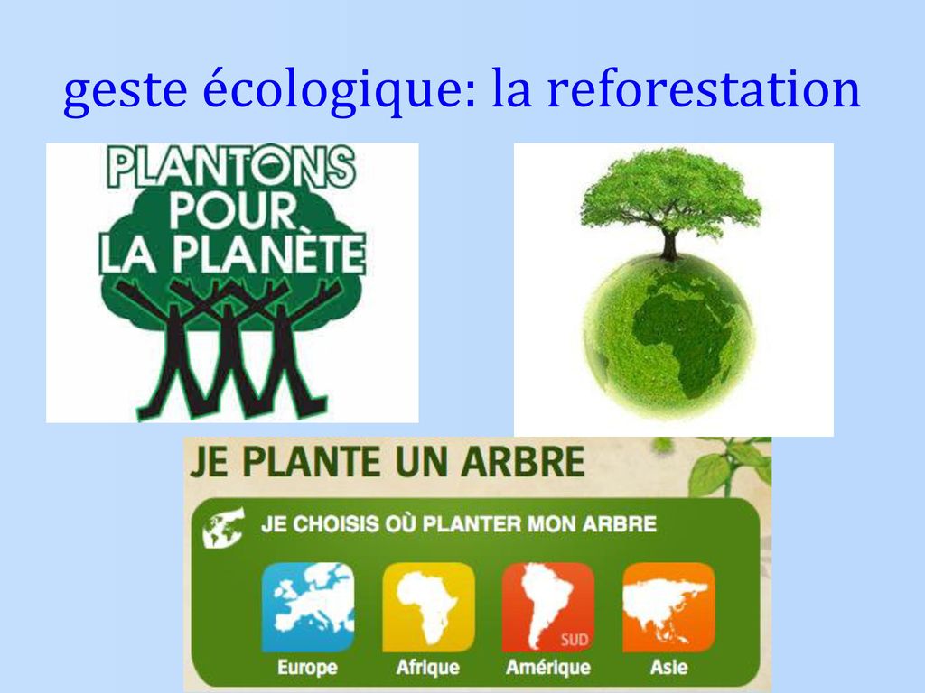 geste écologique: la reforestation