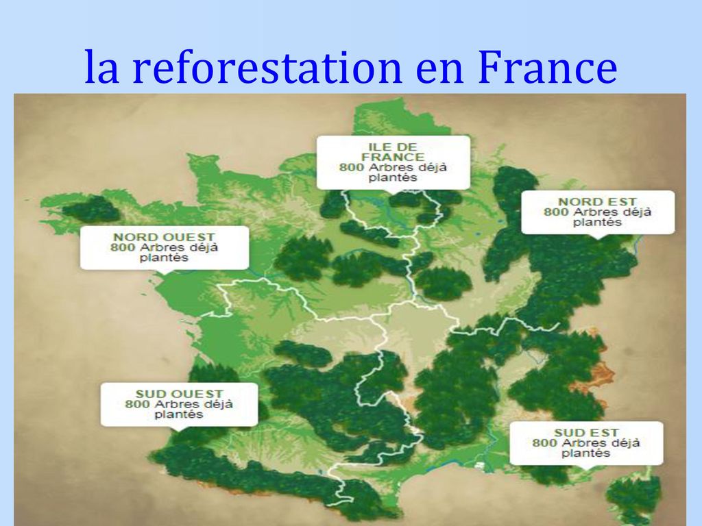 la reforestation en France