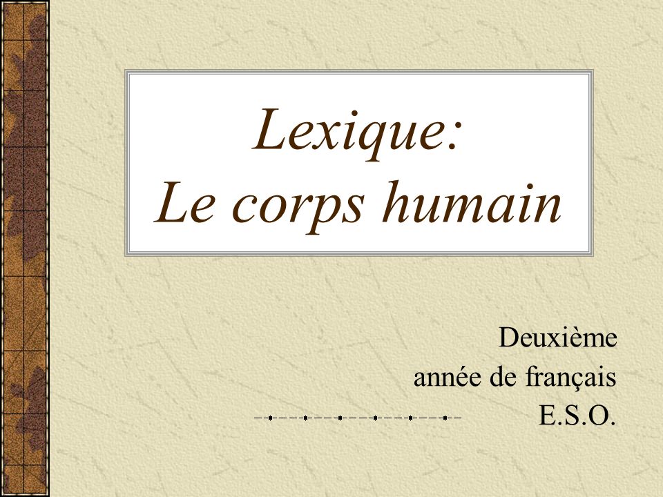 Lexique: Le corps humain